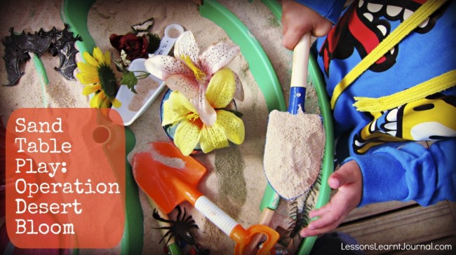 Sand Table Play Lessons Learnt Journal