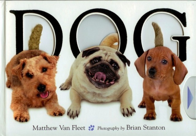 weekly books 2011 oct week 2