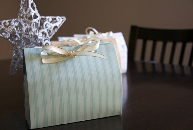 the Christmas gift