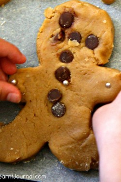 Gingerbread Men Lessons Learnt Journal