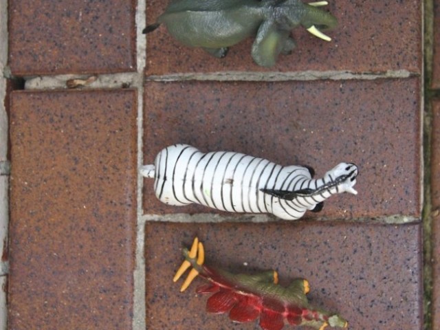 Outdoor Adventures: Animal Hunt