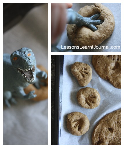 dinosaur fossils diy