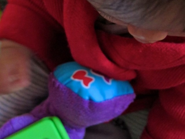 iBaby Play: Fisher Price Apptivity Toys Review