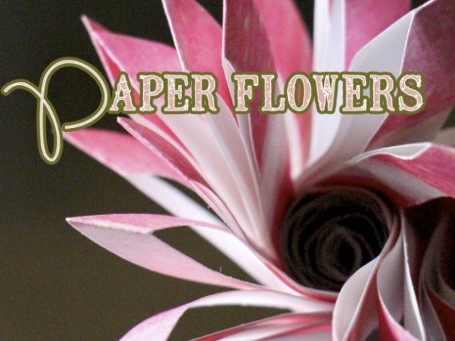 Paper Flowers: Valentines Day