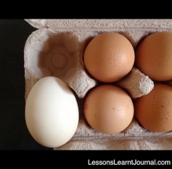 Lessons Learnt Journal Happy Easter (1)