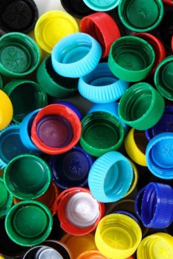 shutterstock_104014736