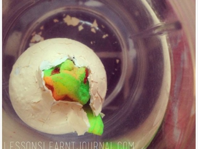 Play Matters Instagram Journal: Contentment